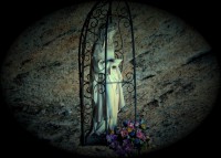 /album/ca2-galeria-de-fotos%3a-aix%c3%b2-va-passar/ca2-a61-jpg/