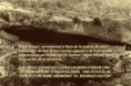 /album/ca-galeria-de-fotos%3a-aix%c3%b2-va-passar/ca-stitched-010-jpg/